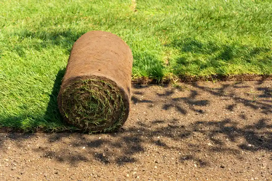 Grass Installation